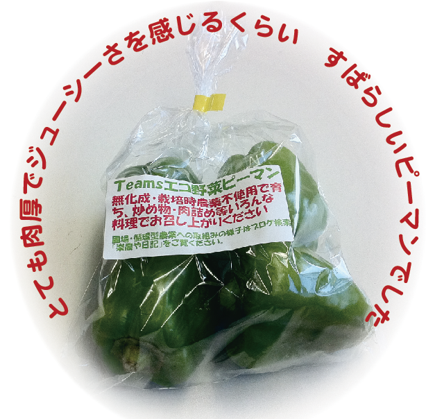 絆工房と「農業生産法人(株)Teams